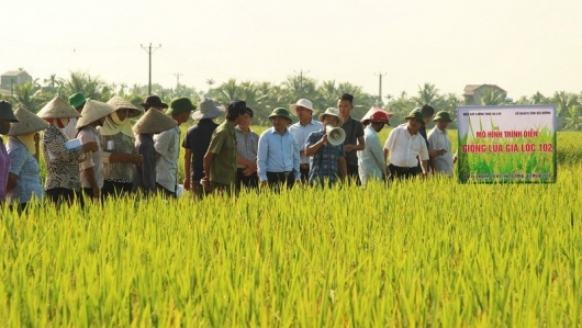Hải Dương đề xuất phương án hỗ trợ sản xuất nông nghiệp