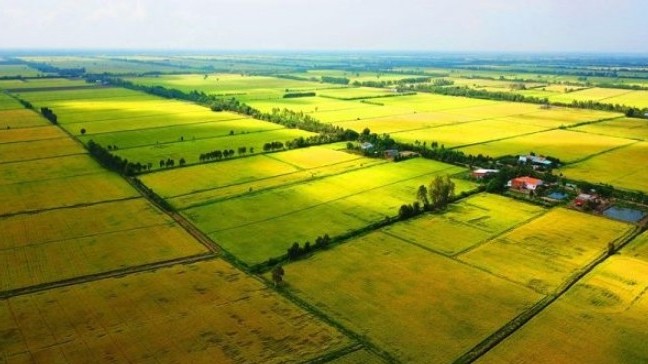 Những chính sách nổi bật có hiệu lực từ tháng 11/2023