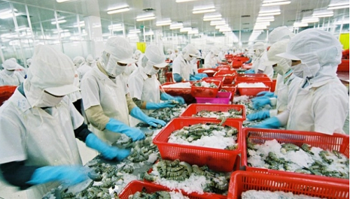 Xuất khẩu tôm sang Trung Quốc và Hong Kong tăng trưởng dương