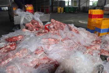 Thái Bình: Tiêu hủy hơn 3 tấn thịt lợn bốc mùi ôi thiu