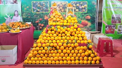 Lễ hội cam và các sản phẩm nông nghiệp Hà Tĩnh được tổ chức từ 24-26/11