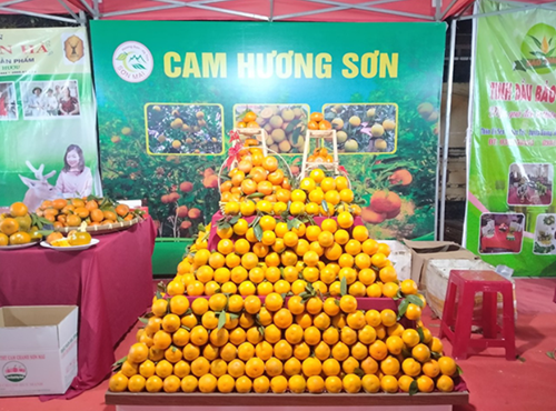 Lễ hội cam và các sản phẩm nông nghiệp Hà Tĩnh được tổ chức từ 24-26/11