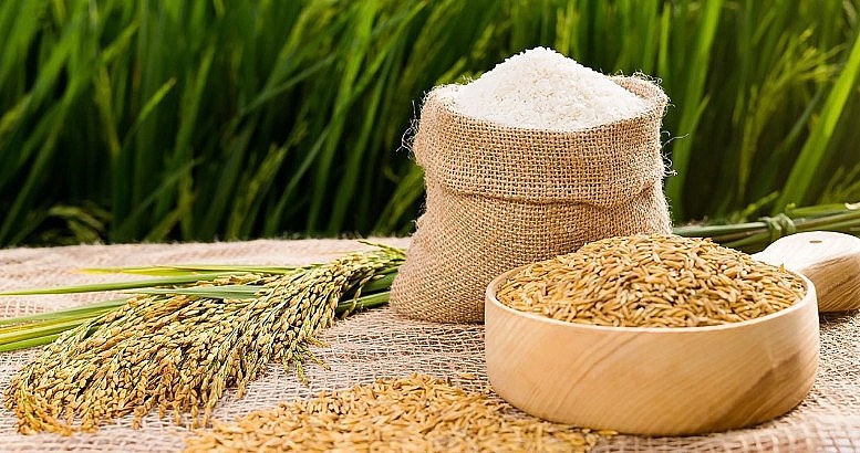 Giá lúa nội địa duy trì ở mức cao nhờ trợ lực xuất khẩu