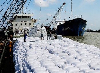 Giá gạo xuất khẩu Việt Nam tăng mạnh, tiếp tục lập đỉnh mới