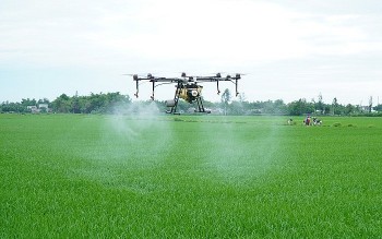 Bắc Ninh đẩy mạnh ứng dụng công nghệ cao trong sản xuất nông nghiệp