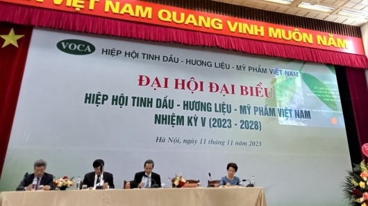 TS. Đỗ Duy Phi tái đắc cử Chủ tịch Hiệp hội Tinh Dầu-Hương liệu-Mỹ phẩm Việt Nam