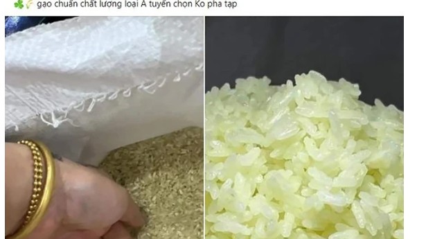 Sự thật về gạo Séng Cù xanh đang nổi rần rần trên chợ mạng