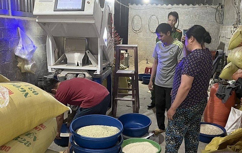 QLTT Lào Cai phát hiện một cơ sở đang nhuộm gạo Séng Cù xanh bằng lá dứa (Ảnh: QLTT)