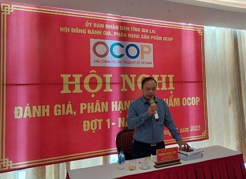 Đồng chí Dương Mah Tiệp phát biểu tại hội nghị đánh giá, phân hạng sản phẩm OCOP đợt 1 tỉnh Gia Lai năm 2023.