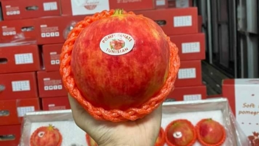 Lý do trái cây ngoại vào Việt Nam có giá siêu rẻ