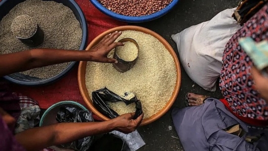 Ấn Độ có thể duy trì lệnh hạn chế xuất khẩu gạo đến năm 2024, giá gạo toàn cầu sẽ ra sao?