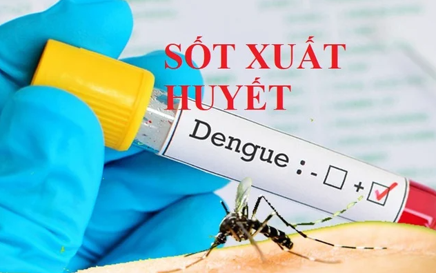 Hà Nội phát hiện thêm tuýp D3 gây bệnh sốt xuất huyết