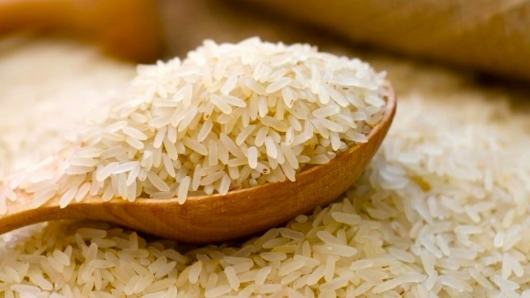 Giá gạo xuất khẩu của Việt Nam tiếp tục tăng 10 USD/tấn