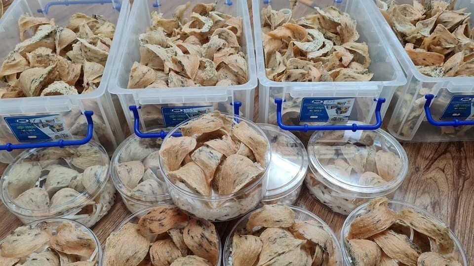 Tin kinh tế - thị trường ngày 22/11/2023: Sản lượng yến Việt Nam có thể đạt 350 - 400 tấn/năm