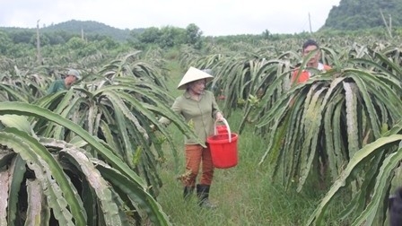 Thanh Hoá phát triển kinh tế nông nghiệp nhờ công nghệ