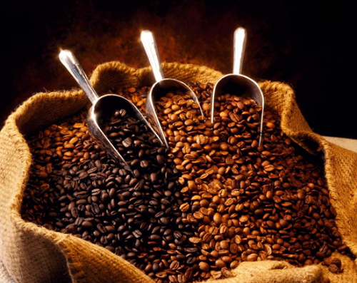 Giá nông sản hôm nay 25/11: Cà phê tiếp đà tăng nhẹ, hồ tiêu duy trì ổn định