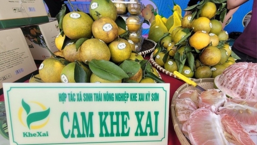 Hà Tĩnh: Hơn 100 gian hàng tham gia Lễ hội cam và các sản phẩm nông nghiệp tiêu biểu