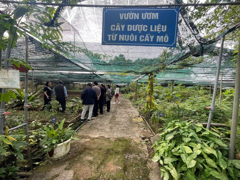 Đoàn công tác của Hội Khoa học các sản phẩm thiên nhiên Việt Nam tham quan mô hình sản xuất Curcumin và mô hình Nông Lâm tiêu biểu