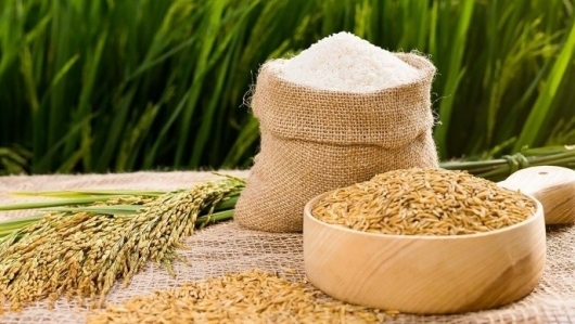 Giá lúa giảm, giá gạo tiếp đà tăng