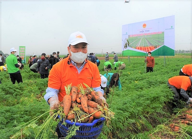 Triển khai kế hoạch sản xuất nông nghiệp năm 2024 các tỉnh phía Bắc