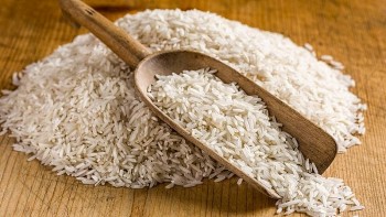 Giá lúa gạo hôm nay (4/12) ít biến động
