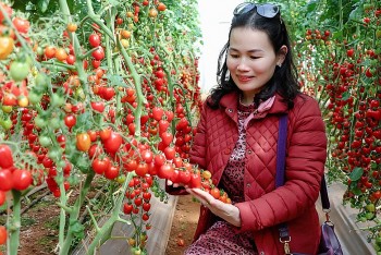 Lâm Đồng chấm dứt Quy chế tạm thời về kinh doanh du lịch canh nông