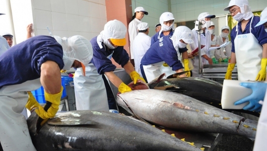 Xuất khẩu cá ngừ đóng hộp của Việt Nam có xu hướng tăng trở lại