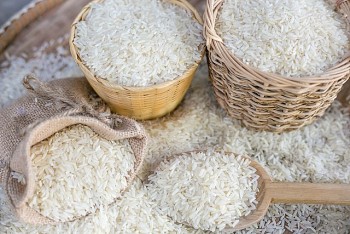 Indonesia mở thầu 543.000 tấn gạo, giá gạo xuất khẩu được dự báo tiếp tục tăng