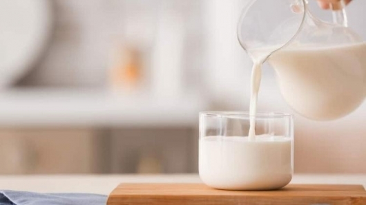 Bầu 3 tháng đầu có nên uống sữa tươi không?