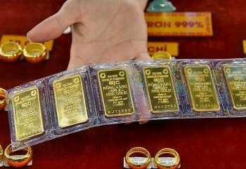 Giá vàng hôm nay 12/12/2023: Vàng trong nước tiếp tục lao dốc