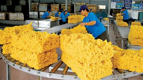Tháng 11/2023, Việt Nam xuất khẩu cao su đạt 253,31 nghìn tấn