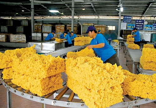Tháng 11/2023, Việt Nam xuất khẩu cao su đạt 253,31 nghìn tấn