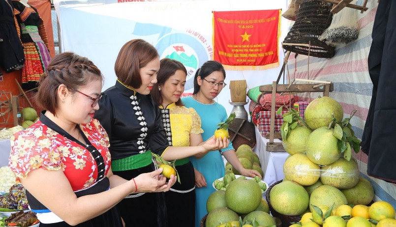 Sản phẩm nông sản tại Ngày hội giới thiệu nông sản huyện Phù Yên.