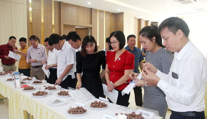 Hội thảo đánh giá chất lượng mắc ca trên địa bàn tỉnh Sơn La.
