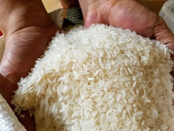 Giá gạo xuất khẩu thế giới tăng mạnh trở lại