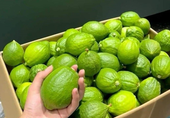 3 loại trái cây gây sốt thị trường Việt năm 2023