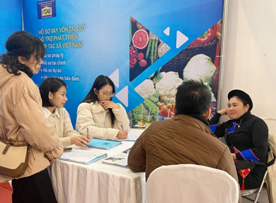 Quỹ hỗ trợ phát triển Hợp tác xã - Liên minh HTX Việt Nam tư vấn cho bà con thủ tục vay vốn để mở rộng trồng và sản xuất dược liệu