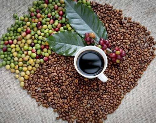 Giá nông sản hôm nay 25/12:  Cà phê giữ ổn định, hồ tiêu giảm nhẹ