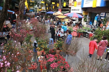 Hà Nội tổ chức 83 chợ hoa Xuân phục vụ Tết Nguyên đán Giáp Thìn