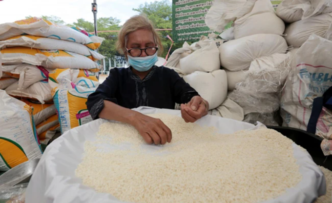 Giá gạo thế giới lập đỉnh 15 năm, bức tranh lương thực toàn cầu gây lo ngại
