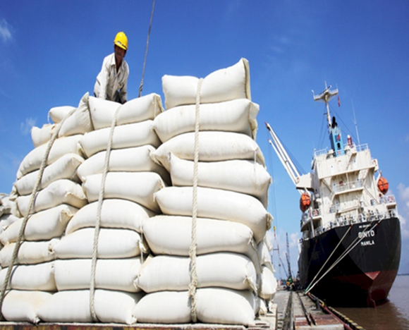 Điểm tin xuất khẩu tuần tuần 25-31/12: Xuất nhập khẩu cán mốc 683 tỷ USD, Xuất khẩu gạo sắp cán mốc 8 triệu tấn