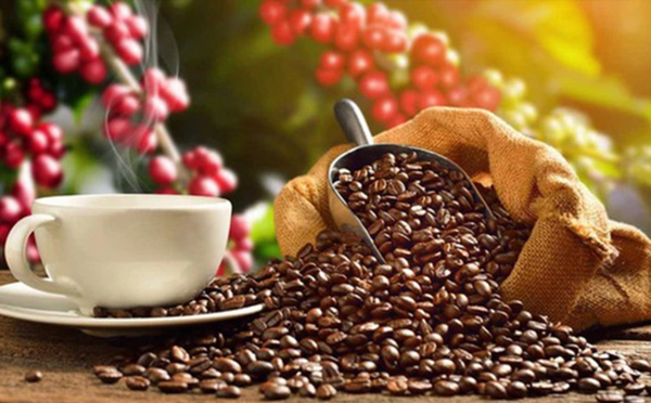 Xuất khẩu cà phê năm 2023 đạt 4,18 tỷ USD