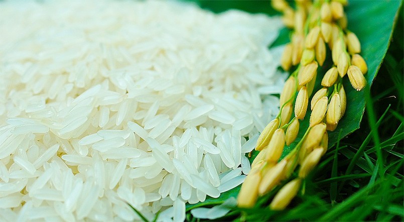Giá lúa gạo Duy trì ổn định ngày đầu năm.
