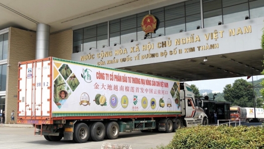 Cảnh báo lừa đảo khi xuất khẩu nông sản sang Trung Quốc
