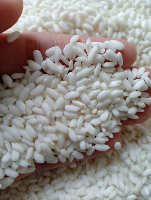 Gạo nếp - Thức ăn bổ dưỡng, nhưng cần lưu ý khi sử dụng