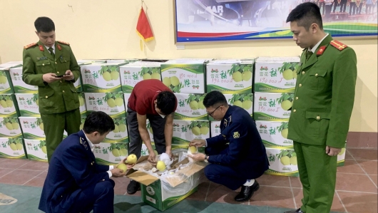 Thái Nguyên: Phát hiện hơn 1 tấn lê nhập lậu tuồn vào Việt Nam
