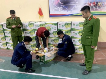 Thái Nguyên: Phát hiện hơn 1 tấn lê nhập lậu tuồn vào Việt Nam