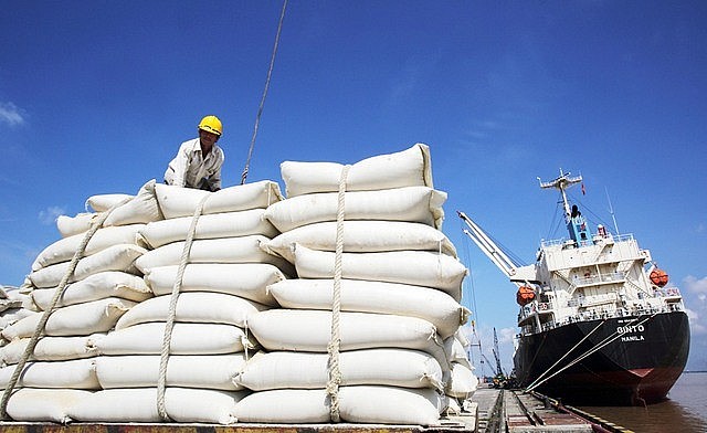 Giá gạo neo ở mức cao, doanh nghiệp xuất khẩu gạo e ngại ký hợp đồng mới.