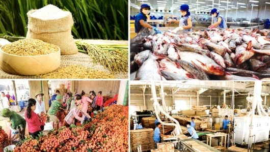Hơn 97% mẫu nông lâm thủy sản đạt yêu cầu an toàn thực phẩm