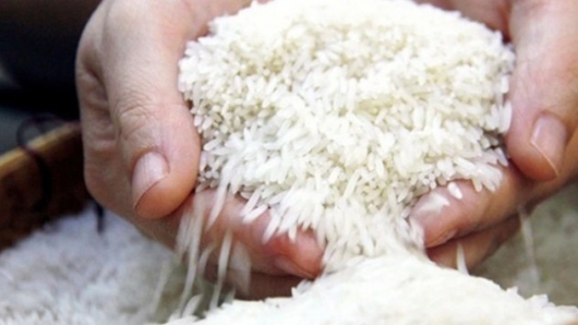 Nâng cao giá trị hạt gạo xuất khẩu để khẳng định thương hiệu trên trường quốc tế